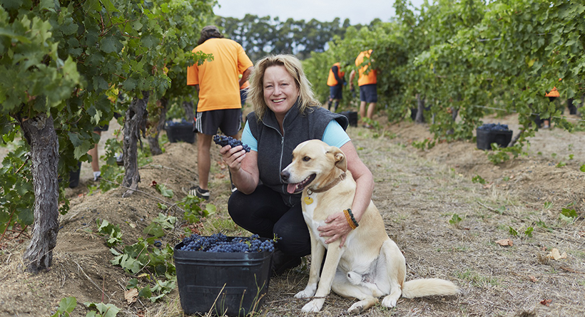 Vanya of Cullen Wines and a dog in the vineyard
